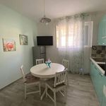 Rent 3 bedroom apartment of 65 m² in Anzio