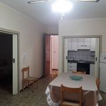 Affitto 3 camera appartamento di 75 m² in Lesina