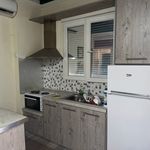 Rent 1 bedroom house of 50 m² in Anatoli
