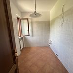 Affitto 2 camera appartamento di 71 m² in Terni