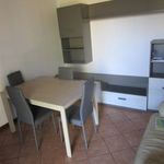 Rent 2 bedroom apartment of 50 m² in Gallarate