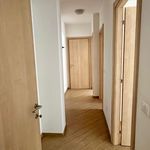 Affitto 1 camera appartamento di 75 m² in Canosa Sannita