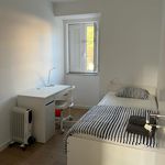 Rent 10 bedroom apartment in Setúbal