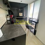 Rent 2 bedroom apartment of 53 m² in Píšťany