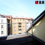 Rent 1 bedroom apartment of 42 m² in Brno