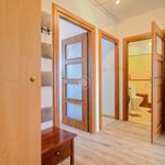 Wynajmij 2 sypialnię apartament z 46 m² w Toruń