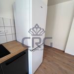 Rent 2 bedroom apartment of 42 m² in Brno