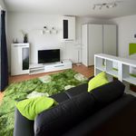 Rent 1 bedroom apartment of 40 m² in Mörfelden-Walldorf