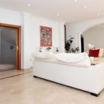Rent 10 bedroom house of 878 m² in El Paraiso