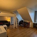 Rent 1 bedroom apartment in PARIS 4EME ARRONDISSEMENT