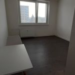 Rent 1 bedroom apartment of 23 m² in Zlín