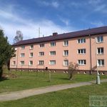 Rent 1 bedroom apartment of 57 m² in Bruntál