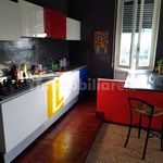 Affitto 3 camera appartamento di 90 m² in Sannazzaro de' Burgondi