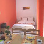 Rent 1 bedroom apartment of 29 m² in Heraklion
