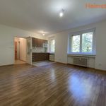 Rent 1 bedroom apartment of 27 m² in Havířov