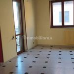 Rent 3 bedroom apartment of 110 m² in Triggiano