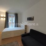 Rent 1 bedroom apartment of 50 m² in Turin
