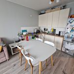 Wynajmij 3 sypialnię apartament z 55 m² w Czernica