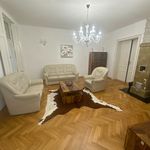 Rent 3 bedroom apartment of 110 m² in Brno
