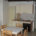 Rent 1 bedroom apartment of 60 m² in Grenoble