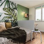Louez une chambre de 67 m² à Nice