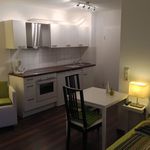 Rent 1 bedroom apartment of 30 m² in Karlsruhe