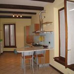 Rent 2 bedroom apartment of 50 m² in Casalmaggiore