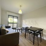 Rent 1 bedroom apartment of 53 m² in Cedofeita