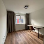 Rent 2 bedroom house of 65 m² in Maastricht