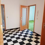 Miete 1 Schlafzimmer wohnung von 55 m² in Schwarzenberg/Erzgebirge