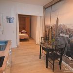 Rent 1 bedroom apartment of 28 m² in Kiel