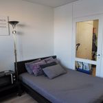 Vuokraa 1 makuuhuoneen asunto, 26 m² paikassa Tampere