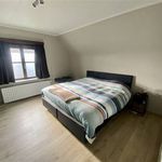Huur 3 slaapkamer huis van 1000 m² in Jabbeke
