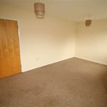 Rent 1 bedroom apartment in Newtownards