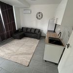 Rent 1 bedroom apartment of 40 m² in Budapest,