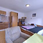 Rent 1 bedroom apartment in Horní Bělá