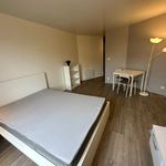Rent 1 bedroom apartment of 30 m² in Voisins-le-Bretonneux