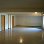 Rent 1 bedroom house of 38 m² in Herning