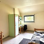 Rent 1 bedroom apartment of 20 m² in Belfort