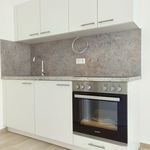 Rent 1 bedroom apartment of 15 m² in Graz