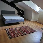 Rent 4 bedroom apartment of 81 m² in Lyon