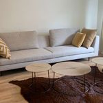 Rent 3 bedroom apartment of 145 m² in ghent