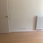 Rent 1 bedroom apartment in Lievegem