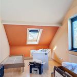Rent 5 bedroom apartment in Willebroek