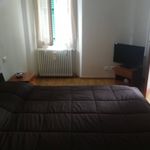 Affitto 2 camera appartamento di 50 m² in Faenza