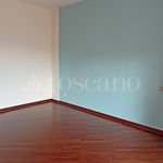Rent 9 bedroom house of 150 m² in Frosinone