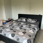 Rent 1 bedroom apartment in Wortegem-Petegem
