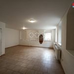 Rent 1 bedroom apartment of 36 m² in Šternberk