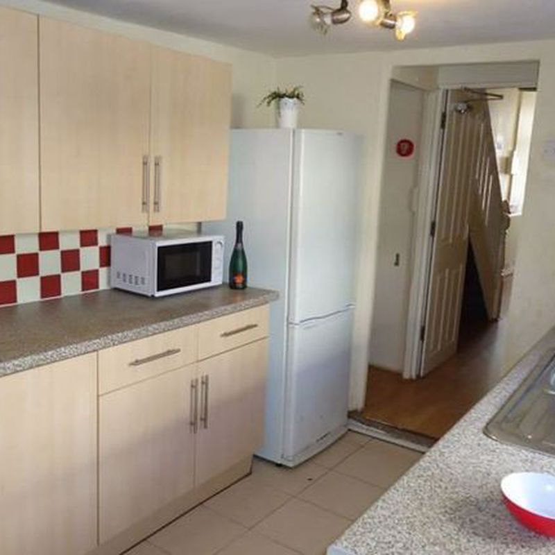 Terraced house to rent in Rhymney Street, Cathays, Cardiff CF24 Cathays Park