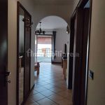 Rent 2 bedroom house of 63 m² in Corteno Golgi